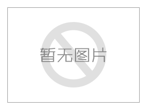 大型不銹鋼攔污格柵